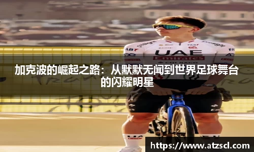 PA电子官网